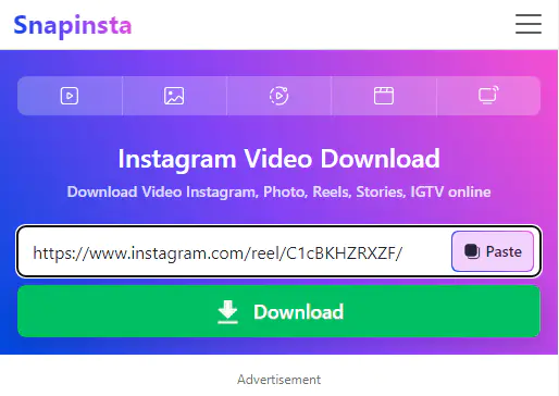 Paste the URL into the input field of the online Instagram saver