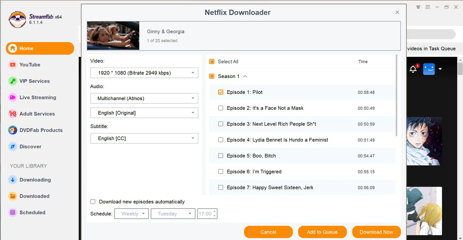 Set output options for Netflix episodes