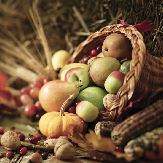 Free Thanksgiving Wallpapers for iPad: Bumper Harvest 14