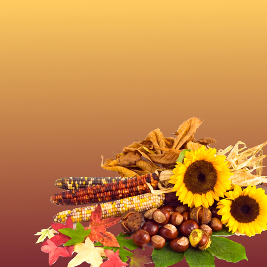 Free Thanksgiving Wallpapers for iPad: Bumper Harvest 16