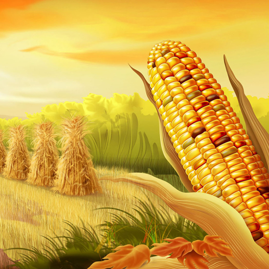 Free Thanksgiving Wallpapers for iPad: Bumper Harvest 5